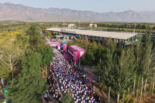 在银川市西 在银川市西