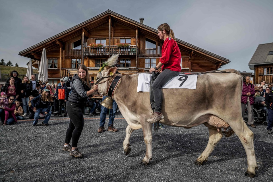 AA, Zgevk, inews AA, Zgevk, inews