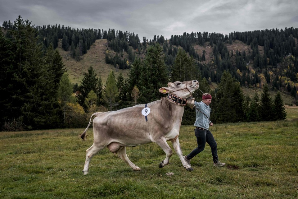 gtimg, src, Qe gtimg, src, Qe