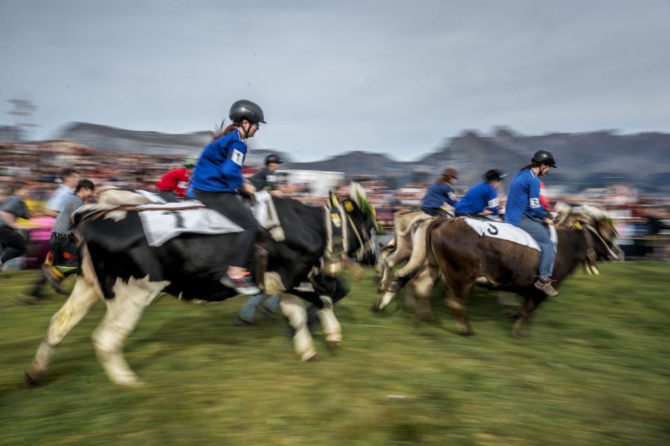 com, fC, NezBw com, fC, NezBw